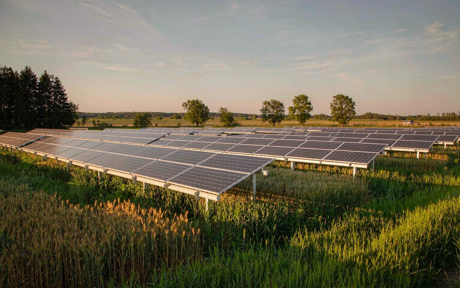 Agricultural carbon sequestration