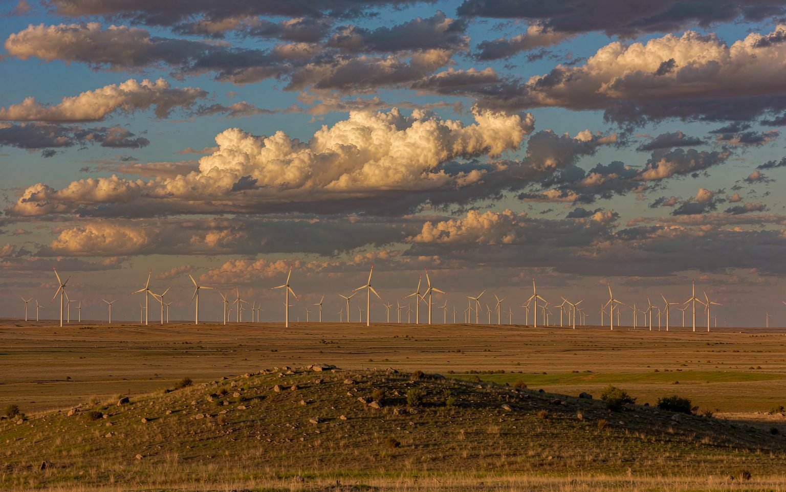 Grassland carbon sequestration